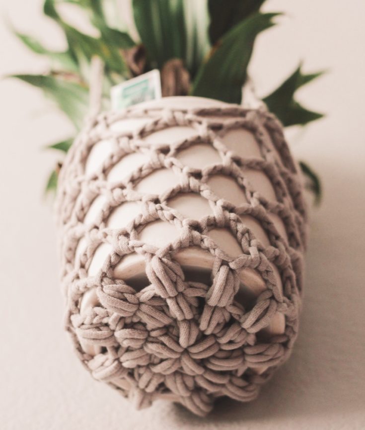 Image for How To Crochet a Plant Hanger – Video Tutorial/Written Pattern