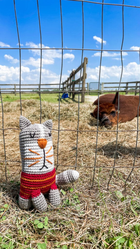 How to Crochet a Blanket for Beginners: How Much Yarn Do You Need